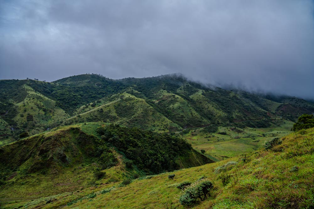 Tamil Nadu: A Paradise for Nature and Adventure Lovers