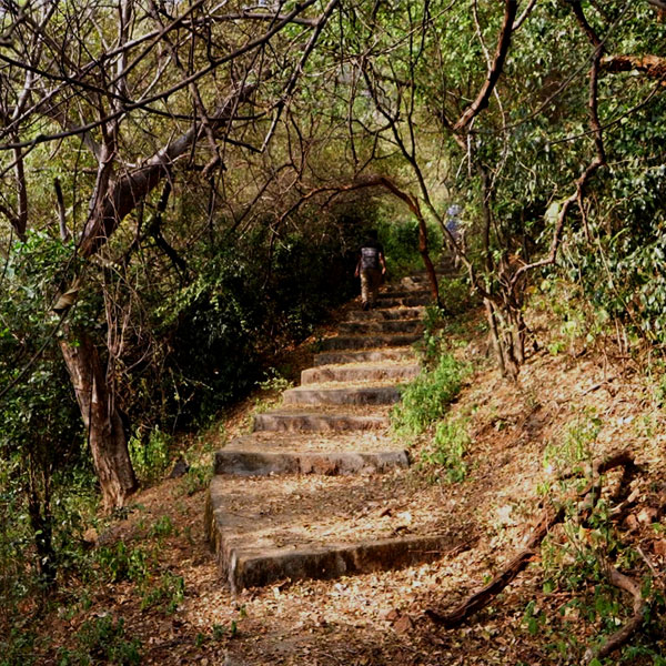 Kutladampatti Falls -Thadagai Trail ( Easy )