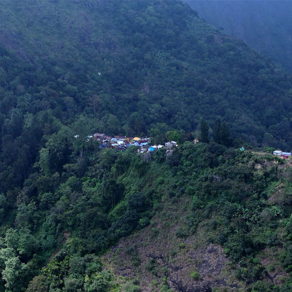 Kodaikanal - Vellagavi (Camp Stay)