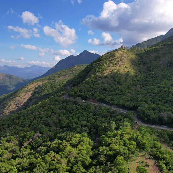 Chinna Suruli - Thenpalani