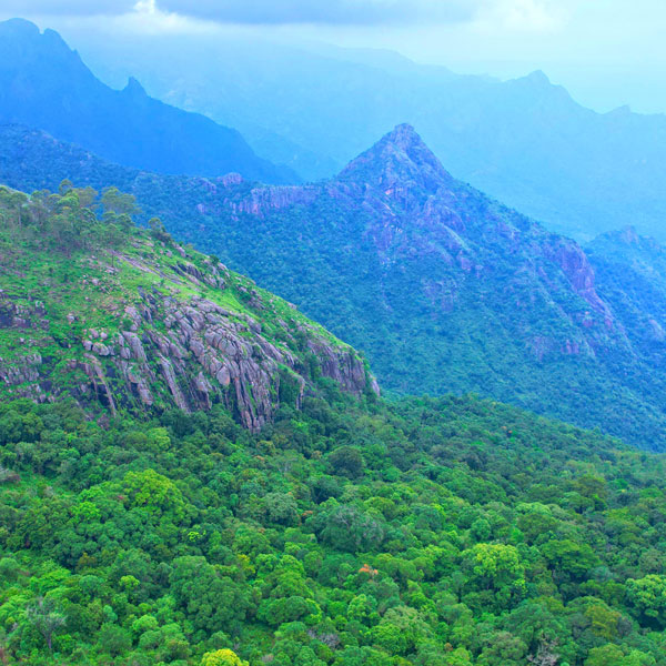 Karikaiyur to Rangasamy Peak