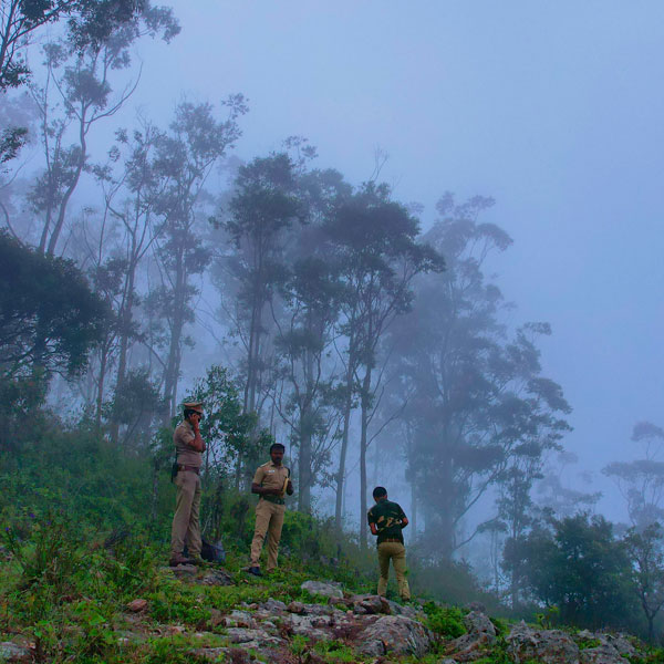 Nagalur - Sanniyasimalai Peak