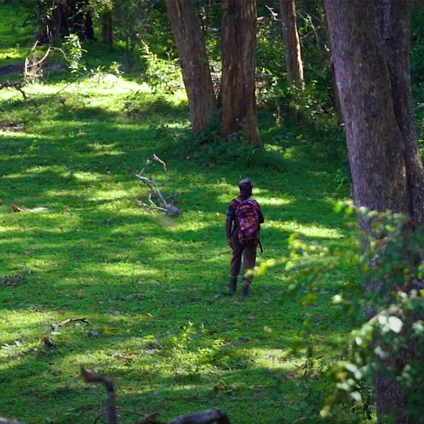 Topslip - Pandaravarai - Moderate