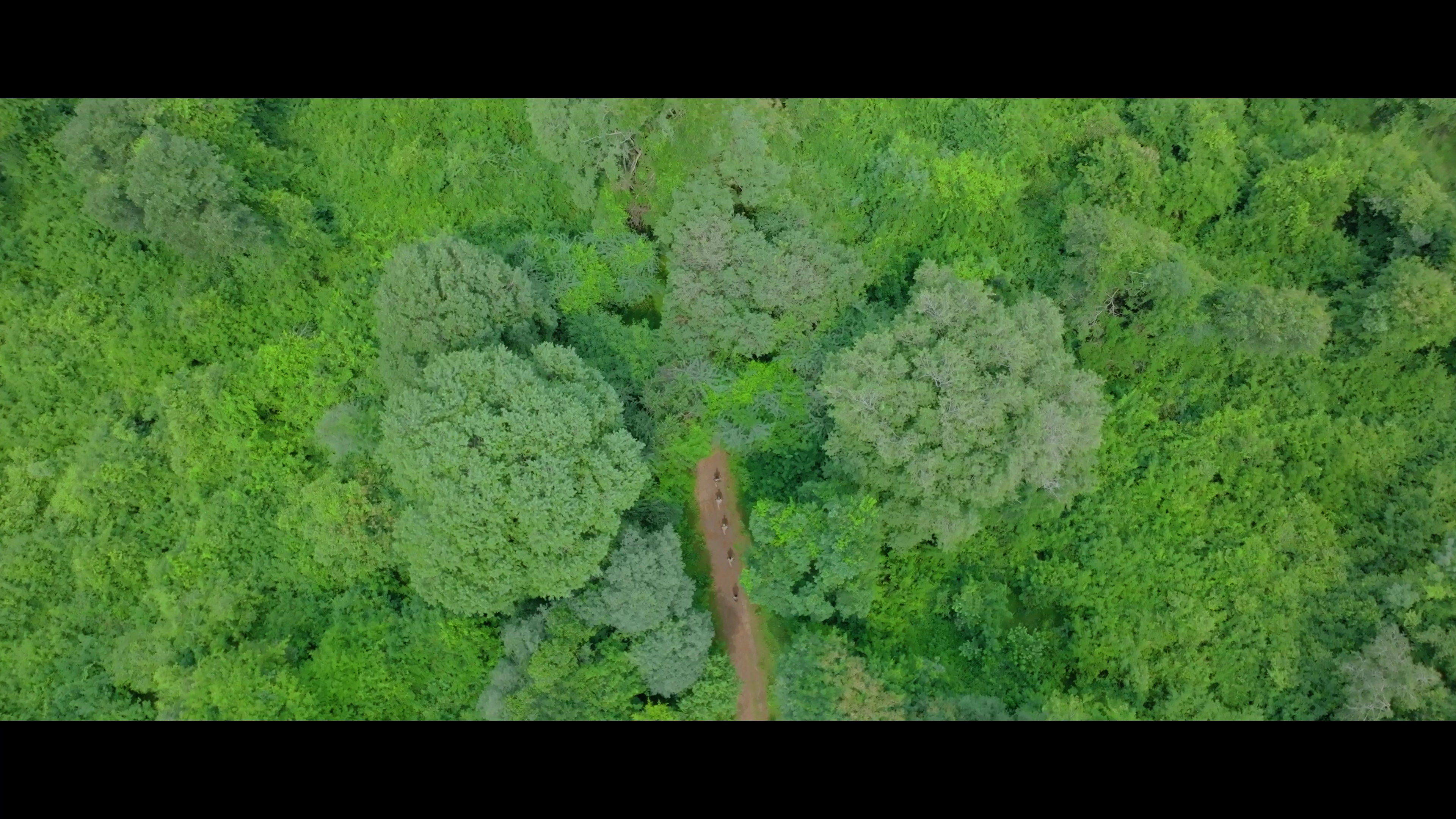 Amirthi Zoo Trail
