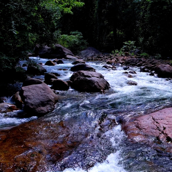 Kalikesam - Balamore
