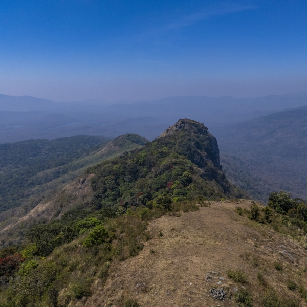 Topslip - Pandaravarai