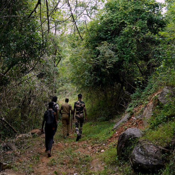 Shenbagathoppu Trail - Easy